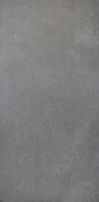 PARK GREY 59X120 PORCELAIN SPANISH WALL & FLOOR BATHROOM TILES